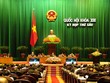 Bổ sung và thông qua Luật Đấu thầu sửa đổi